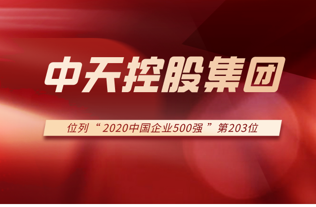 evo视讯集团列2020中国企业500强第203位！